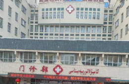 生活垃圾及維修建筑垃圾清運(yùn)